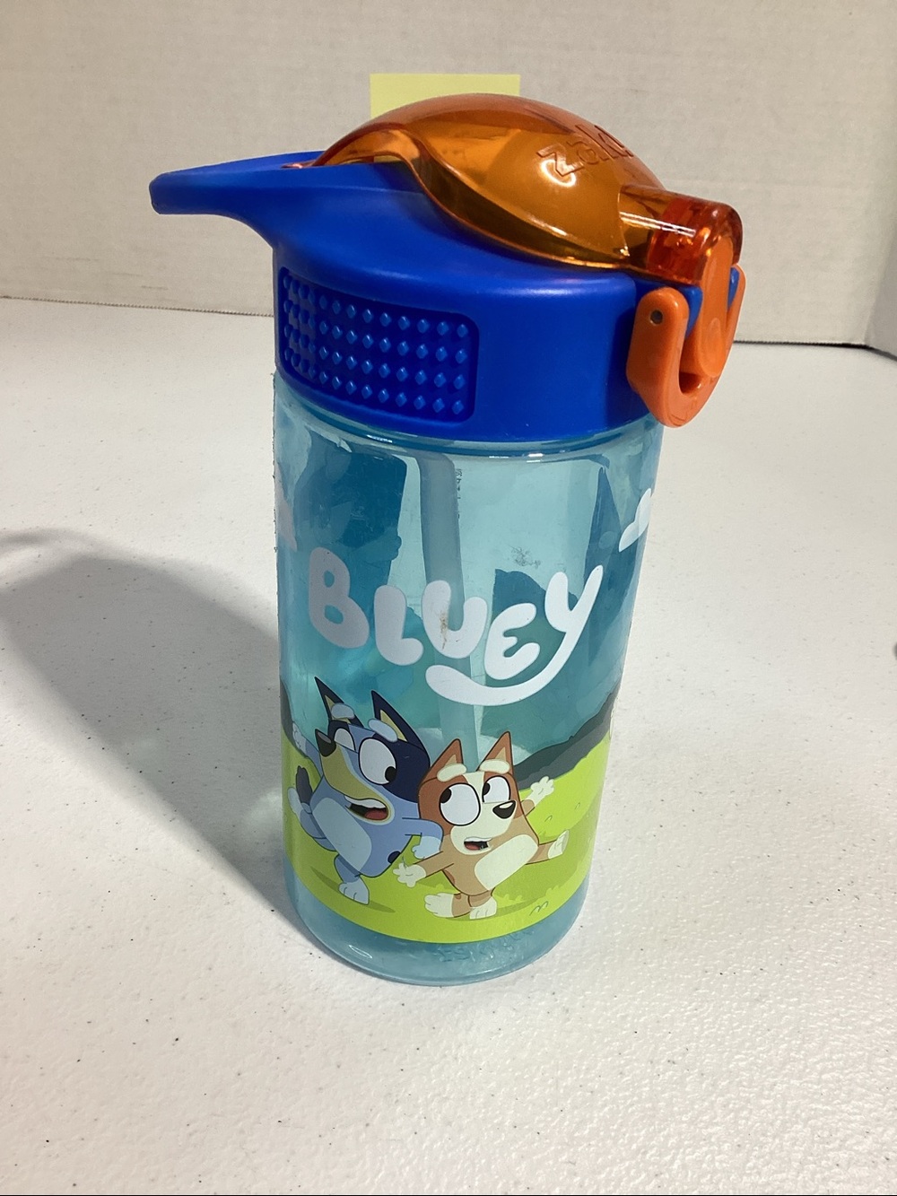 Bluey 16 oz Jubilation Plastic  Water Bottle